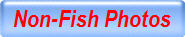 Non-Fish Photos