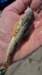imgg250913_105752_small.jpg