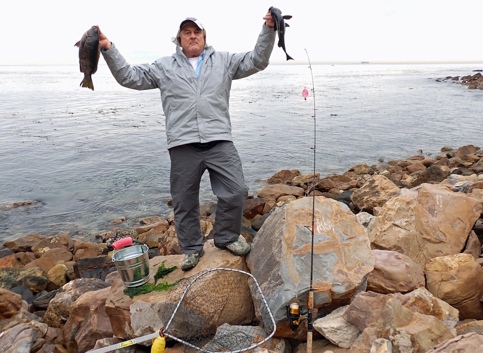 Mike Dufish caught 6 tacos worth the opaleye at Palos Verdes 1/29/2022