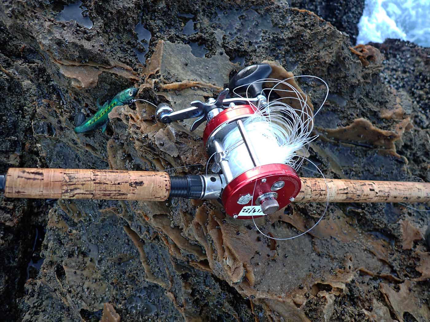 Day of fishing Palos Verdes ended early after this irreversable birds nest 5/14/2022