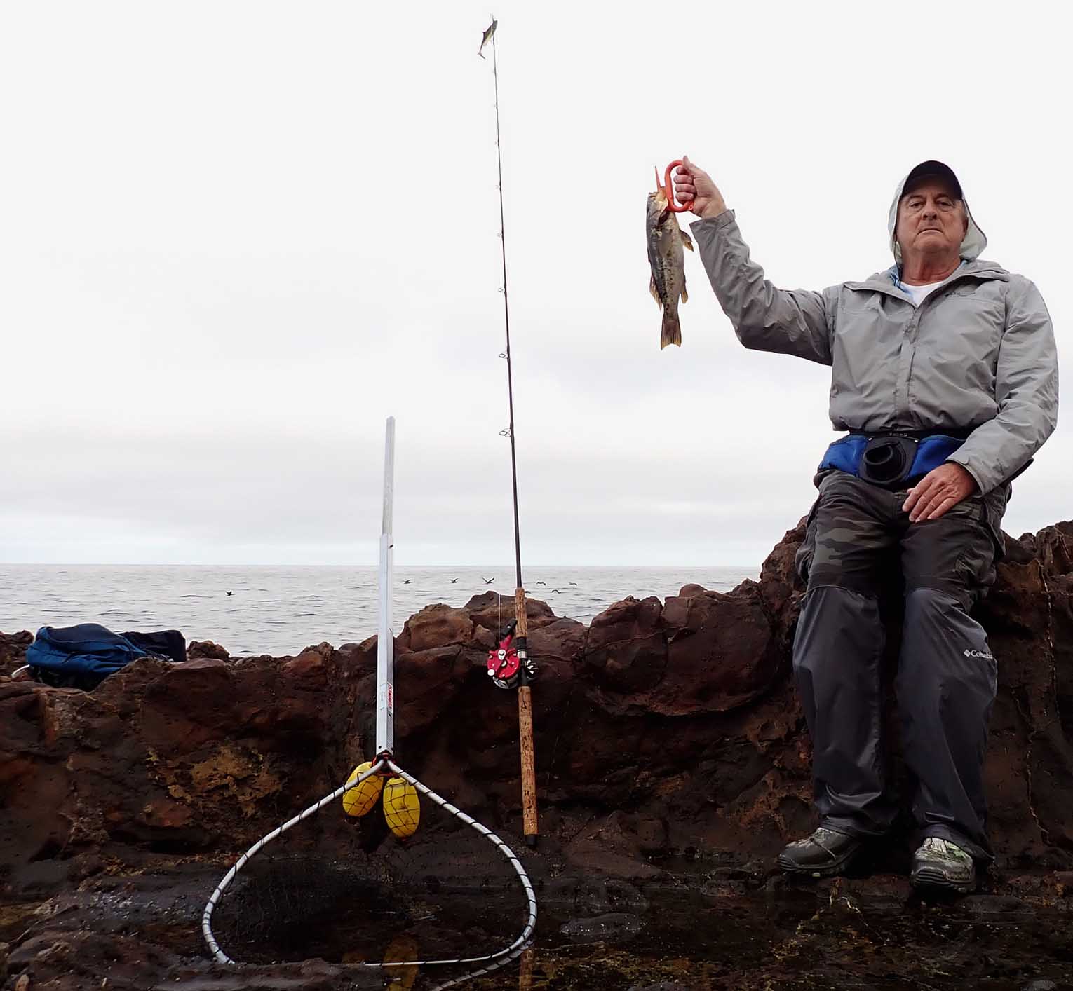 Mike Dufish caught an early season 15-inch calico bass at Palos Verdes 4/8/2023 