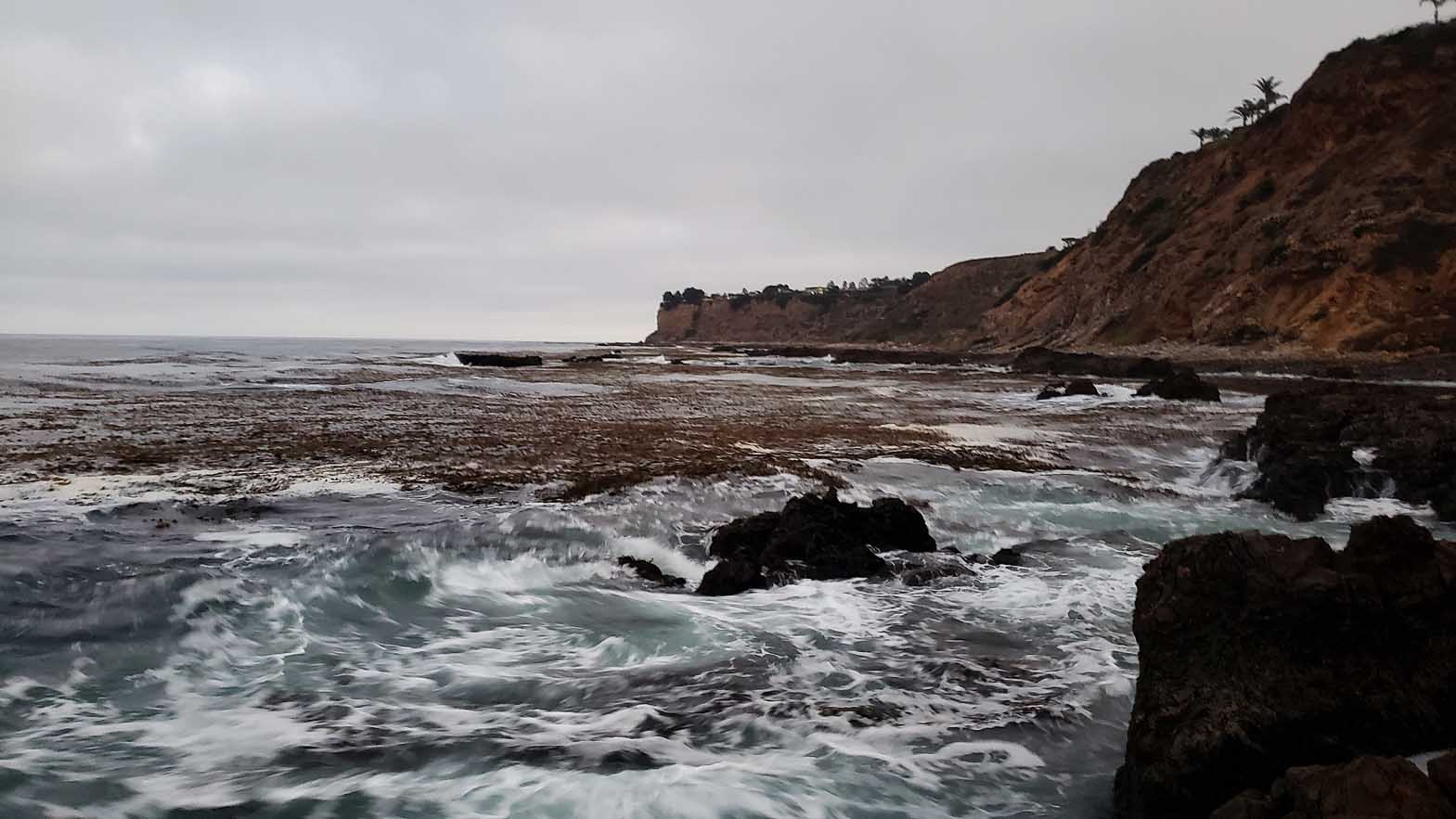 Too much kelp lining the Palos Verdes coast to be able to cast 8/26/2023