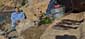 Dufish caught three two-taco opaleye at Palos Verdes 12/6/2025