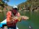float2017051001_small.jpg