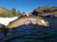 float2017051002_small.jpg