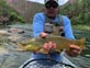 Brad R. flyfishing for brown trout on a river somewhere in North America 8/2020