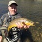 Doug R flyfished this awesome brown trout from a river in the western U.S. 5/2015