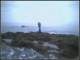 vvrocks01_small.jpg
