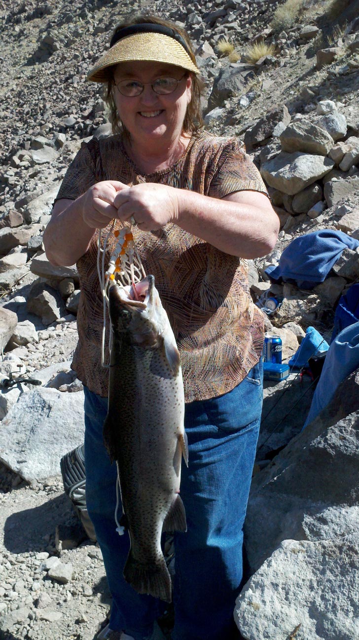 Jim L.'s fishin' buddy Jan hoist out a 6lb 11oz rainbow measuring 28 inches out from their usual fish hole near Bishop 3/2013