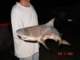 dsc00245_small.jpg