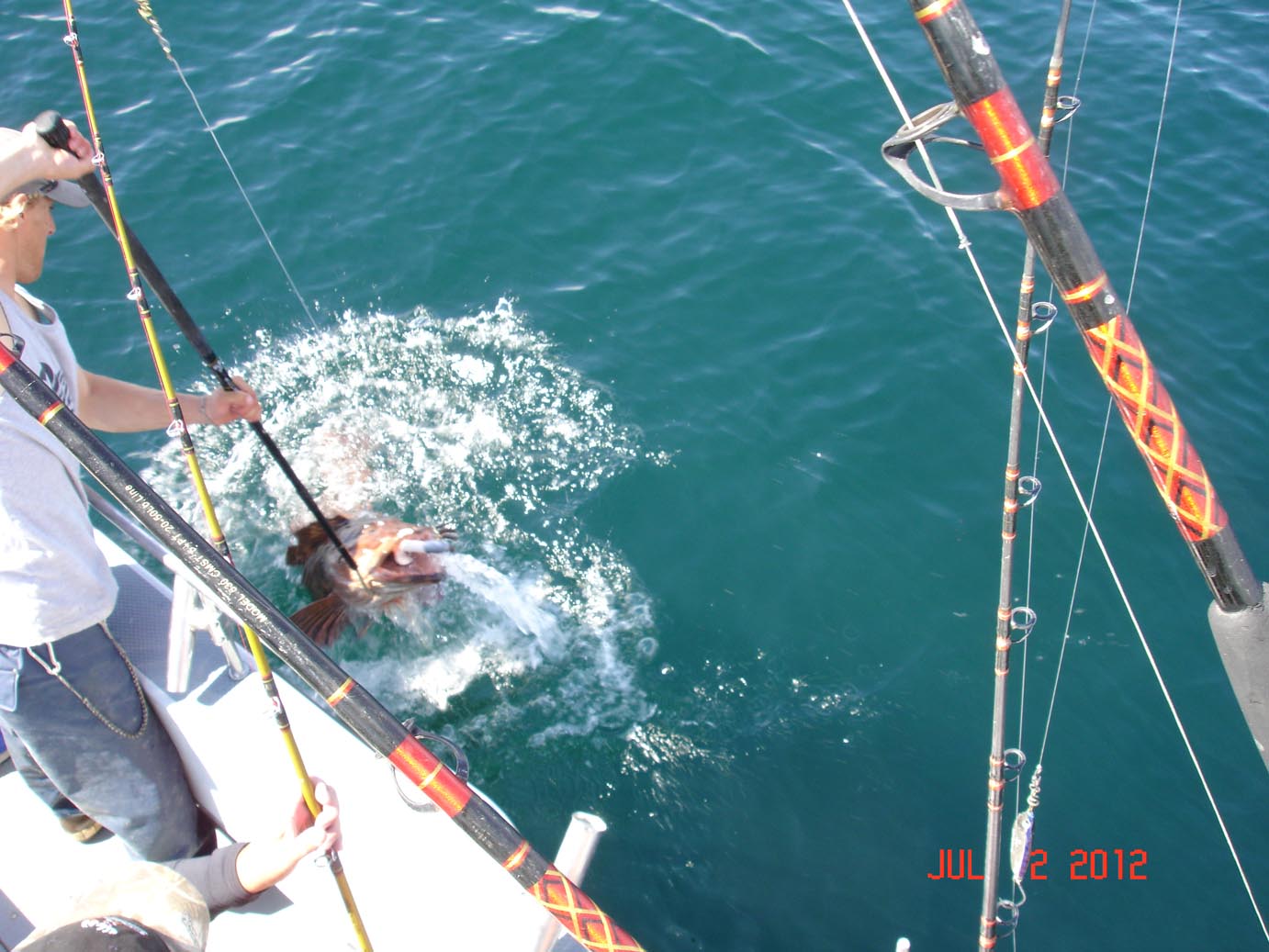 DSC07580.jpg