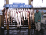 Breakwall Robert fishing out of Seward Alaska on July 2nd, 2012.