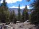 sierra005_small.jpg