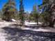 sierra006_small.jpg