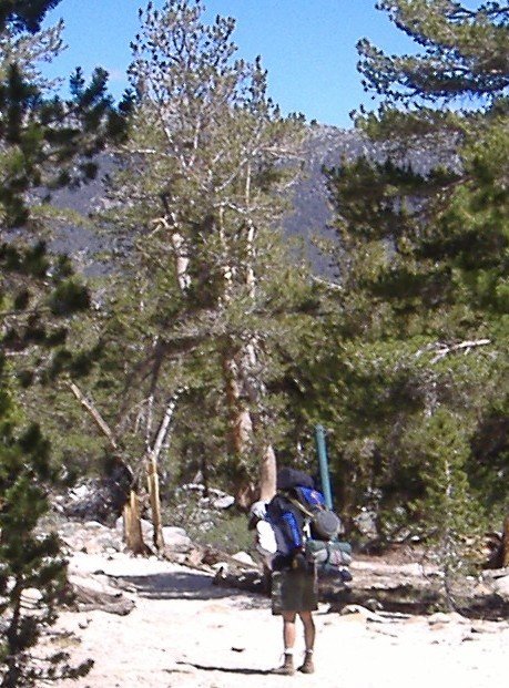 sierra007.jpg