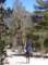 sierra007_small.jpg