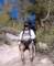 sierra011_small.jpg
