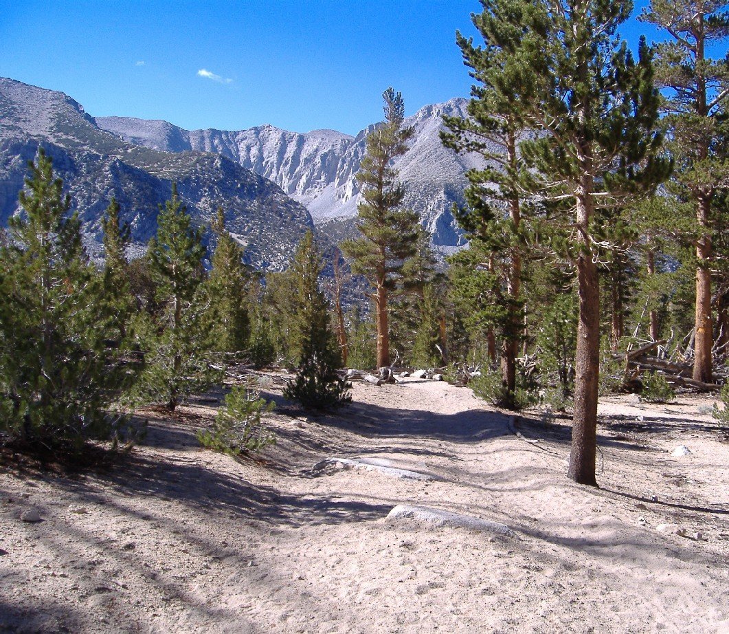 sierra014.jpg