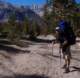 sierra015_small.jpg