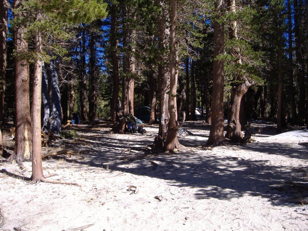 sierra021.jpg