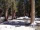sierra022_small.jpg