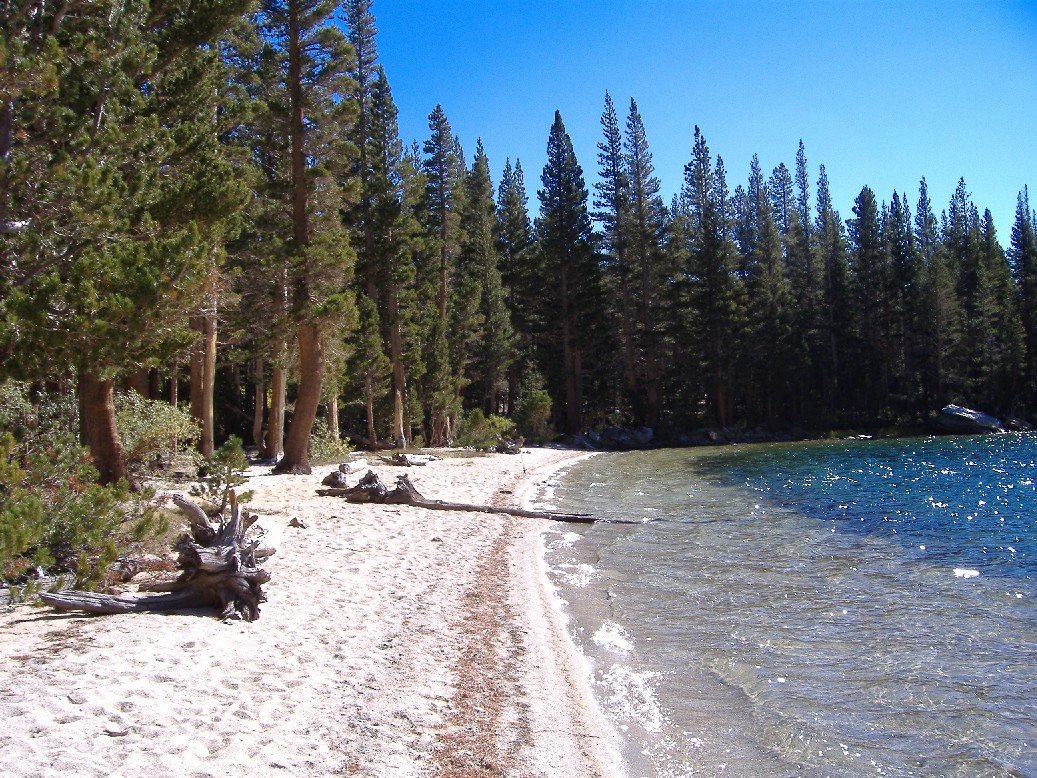 sierra023.jpg