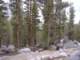 sierra034_small.jpg