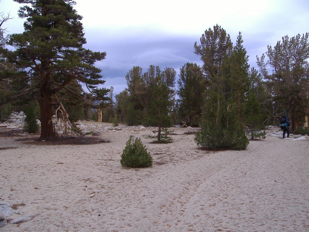 sierra035.jpg