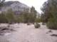 sierra036_small.jpg