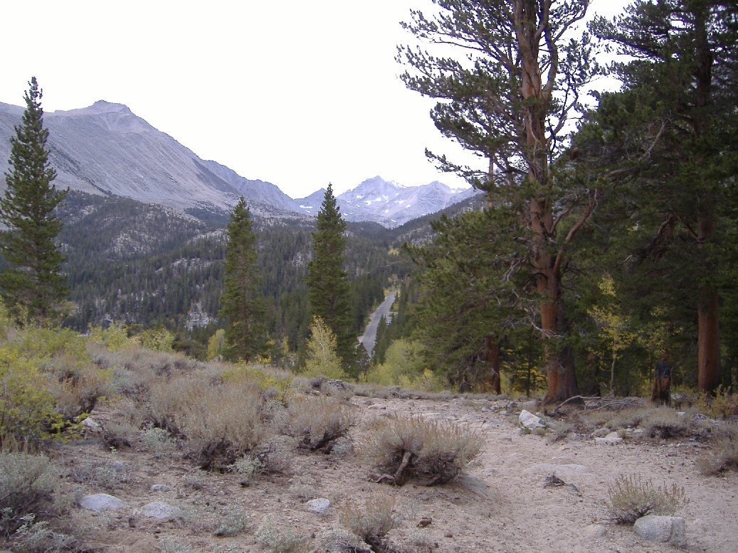 sierra038.jpg