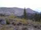 sierra039_small.jpg