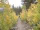 sierra041_small.jpg