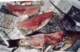 How to filet a calico bass
