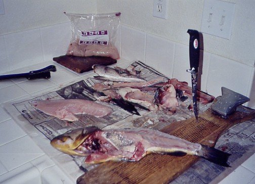 How to clean a calico bass, 8/5/2003