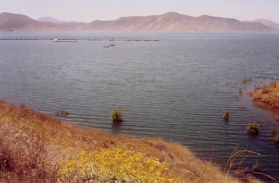 Shore fishing area at Diamond Valley Lake 6/2005