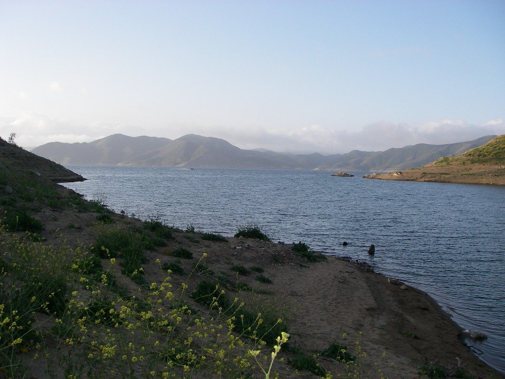 Big cove at Diamond Valley Lake, 4/9/08.