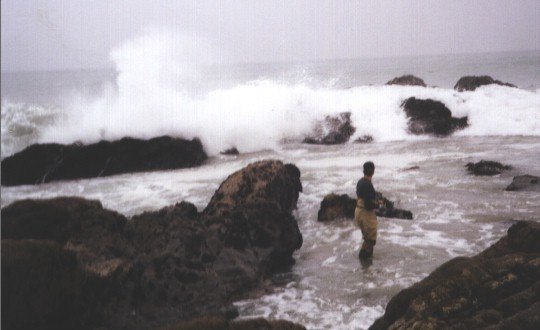 Breakwall Don wading out for mussel on rough day north of Malibu, 3/31/2001