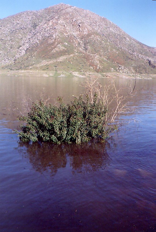 El Capitan Lake opening day 2/2005