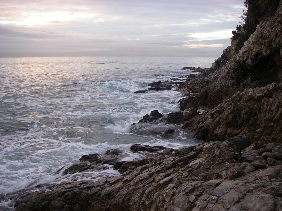 The water conditions were perfect at the Marineland Ledge but there were no opaleye hanging behind the white water like they usually do, 1/23/2009.