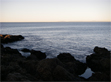No danger at Dangerous Dan Point, Laguna Beach, thanks to the absence of swell 1/30/2009