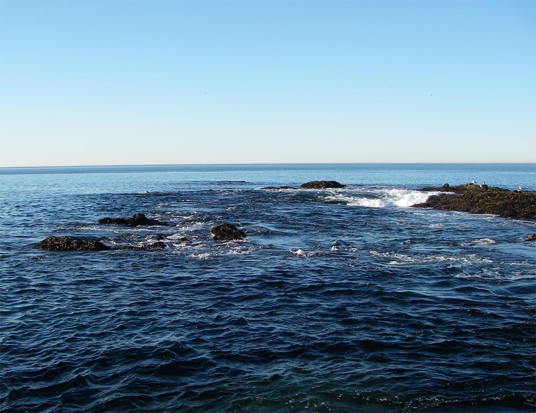You can only see the tippy tops of the rocks we normally fish from at Twin Points, Laguna Beach, 1/30/2009.