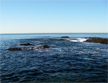 You can only see the tippy tops of the rocks we normally fish from at Twin Points, Laguna Beach, 1/30/2009.