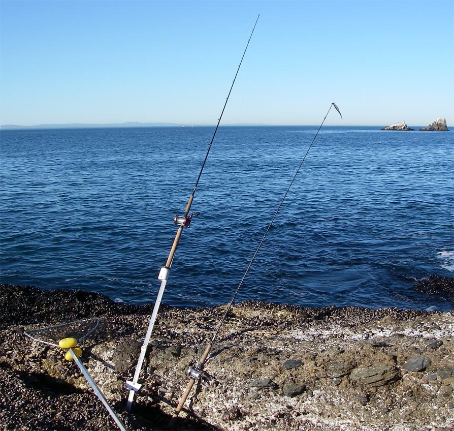Bottom rig in a sand spike at Crescent Bay, Laguna Beach, 1/30/2009.