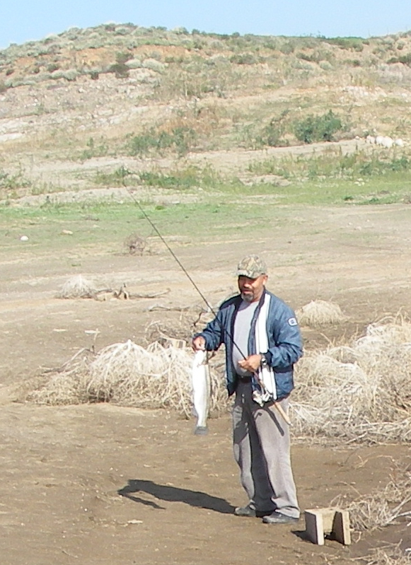 Dude lands a 5 lb class rainbow trout from the back of Third Cove at Diamond Valley Lake 2/26/2009.