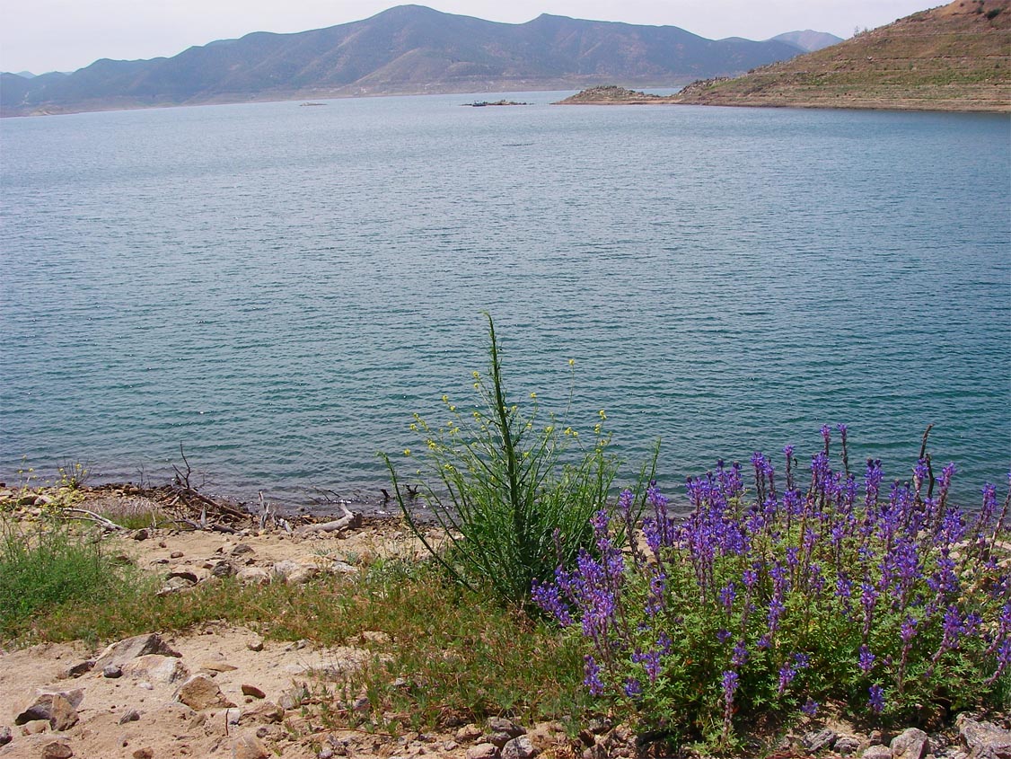 Overlooking the main point with the small island within casting distance at Diamond Valley Lake 4/24/2009