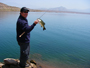 Wook sights a 2-12 largemouth bass in the clear water of Diamond Valley Lake and manages to induce a strike 4/29/2009