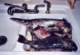 Kitchen sink full of fish caught at Catalina, 8/5/2003