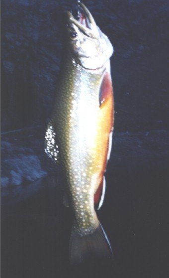The secret lake in Oregon contains lots of brook trout, 9/18/1998