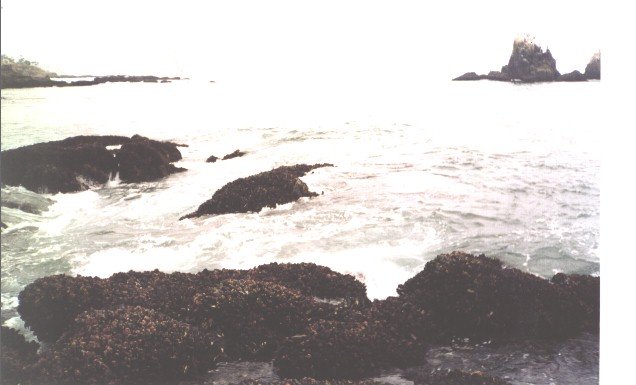 Churned water in channels between rocks where Dufish caught a 2lb sand bass on light line, 5/2002