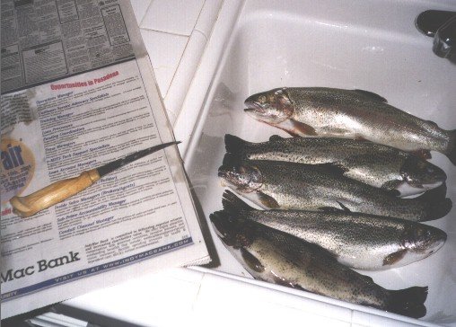 Dufish Laguna Niguel limit ready to be fileted, 3/2001